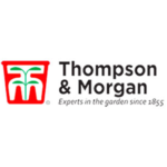 thompson-morgon-discount-code